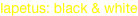 shapeimage_5_link_0