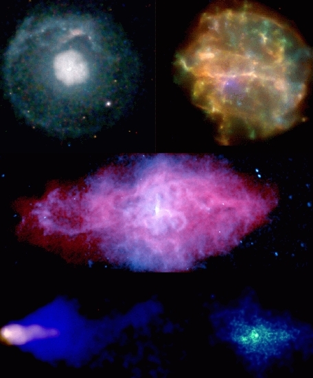 Five supernova remnants and pulsar wind nebulae with Chandra and VLA